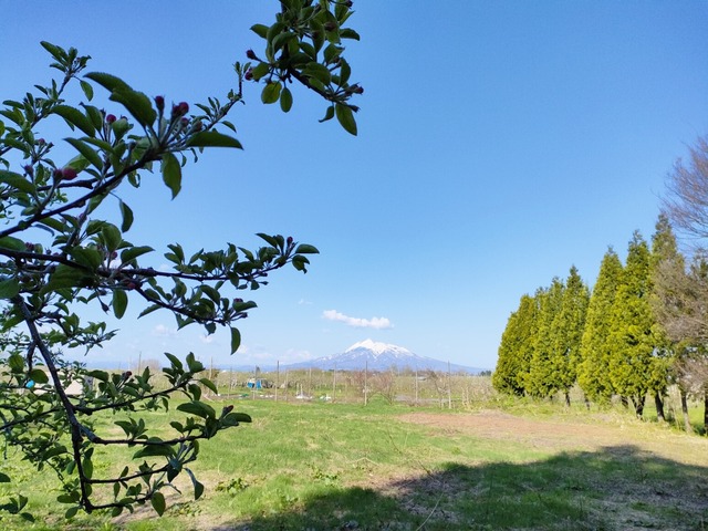 IMG20230423073059