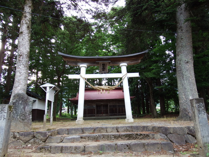 DSCF8668