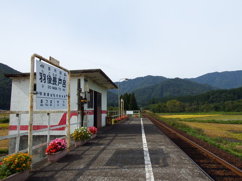 DSCF6566
