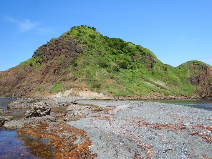 DSCF8591