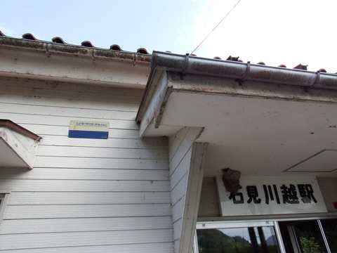 DSCF6704