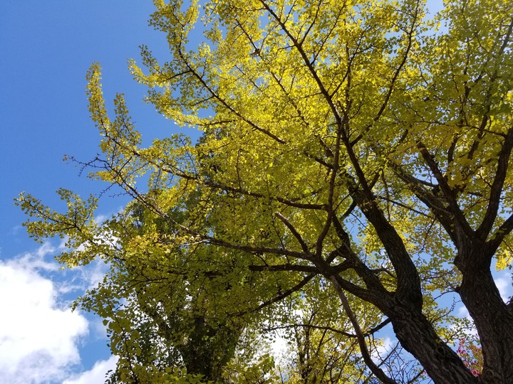 20191020_105145