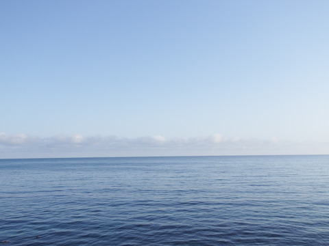 DSCF4251