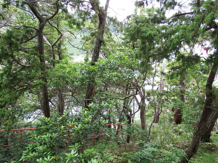 DSCF8628