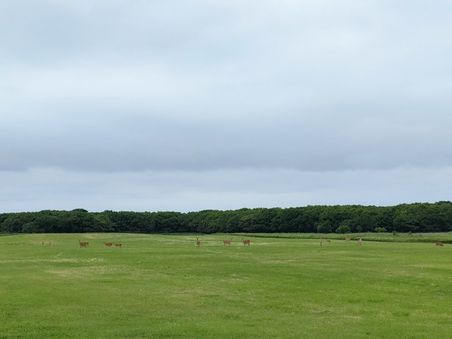 IMG20250710160555