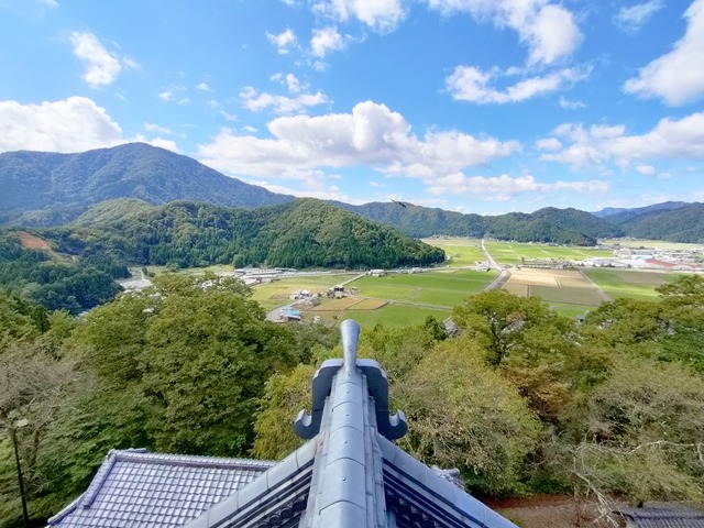 IMG20241009122000