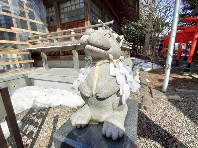 IMG20240316101749