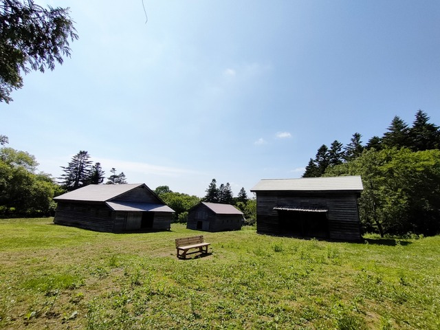 IMG20250712130714
