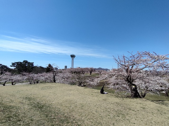 IMG20240422093300