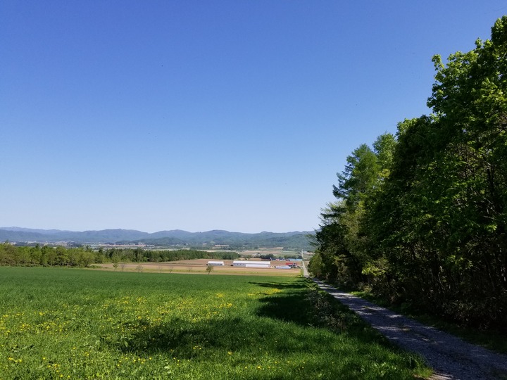 20190525_085131