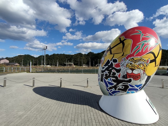 IMG20231017141132