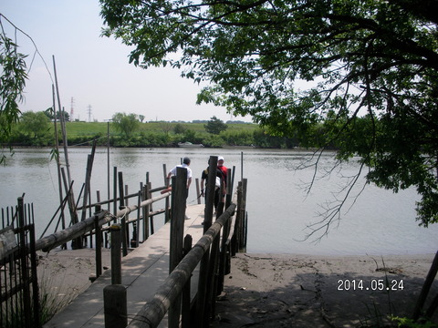 RIMG3811