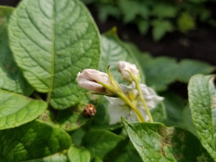 20190730_082519