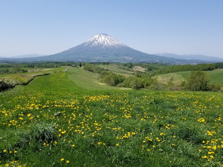 20190525_113629