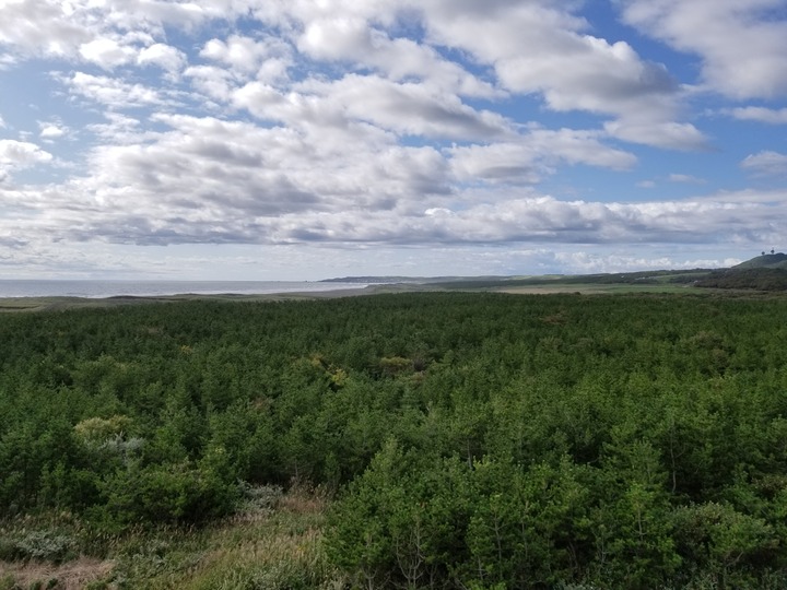 20190912_084357