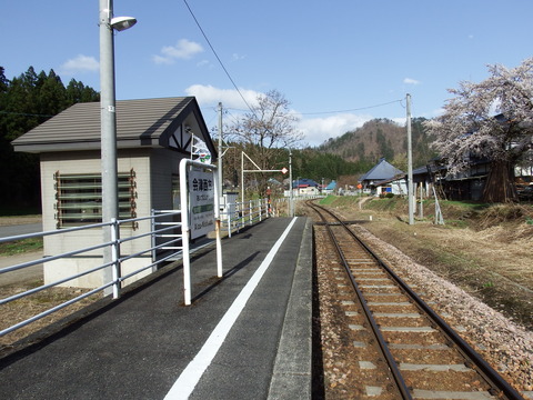 DSCF4984