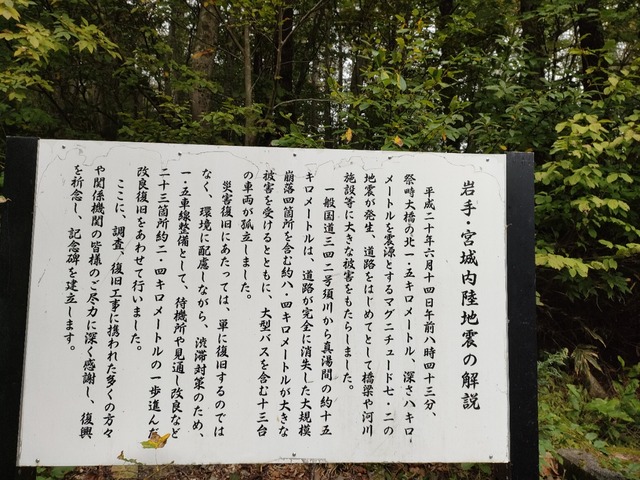 IMG20221014072108