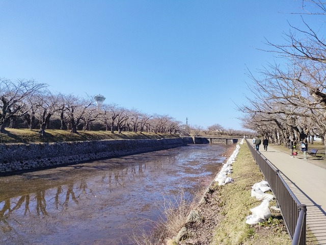 IMG20230320091257