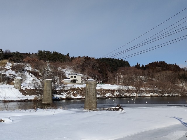 IMG20230205092214