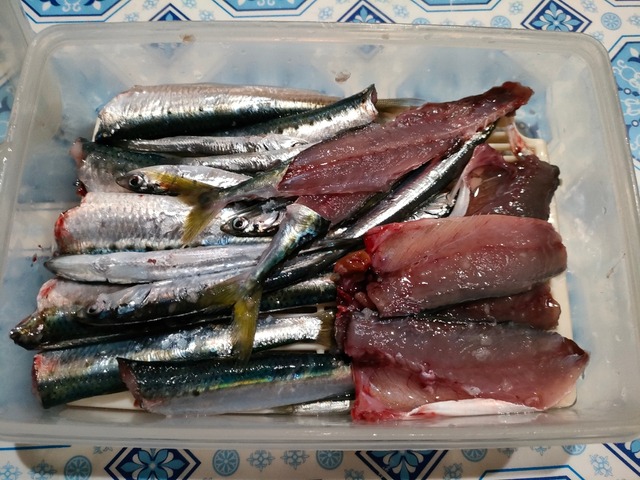 IMG20231109184323
