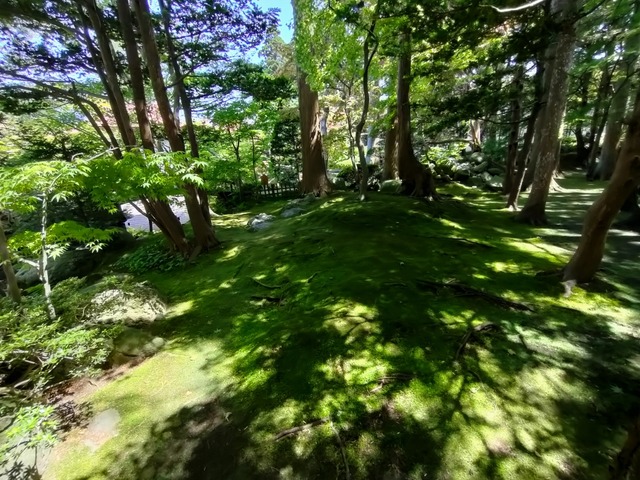 IMG20260604130024