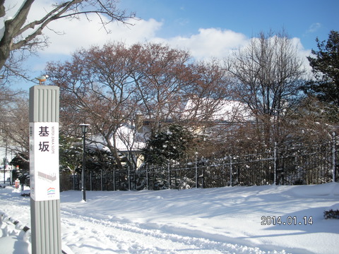 RIMG2873