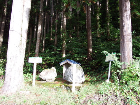 DSCF6545