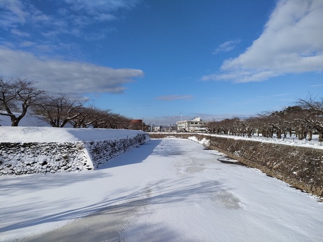 IMG20240111093454