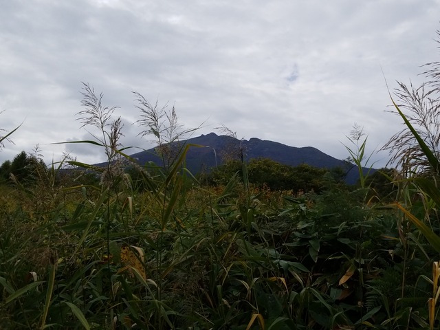 IMG_20211007_091621