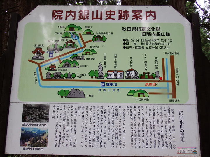 DSCF8765