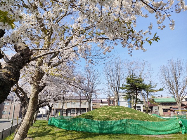 IMG20230425090420