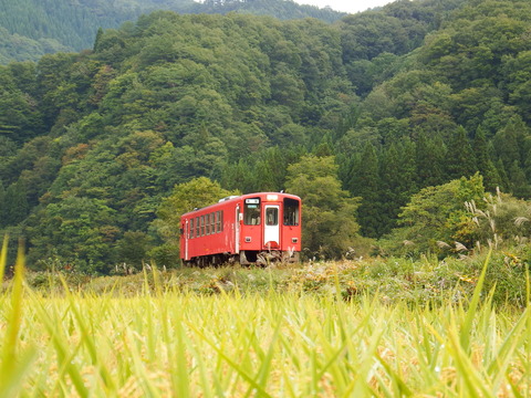 DSCF6553