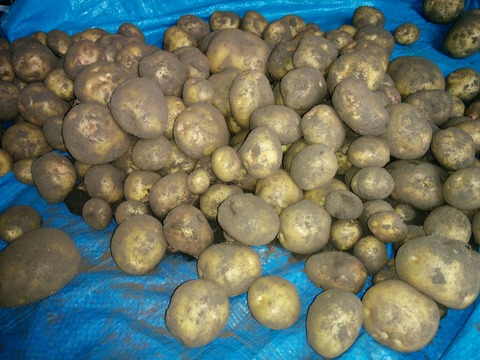 [画像:f6507628-s.jpg]