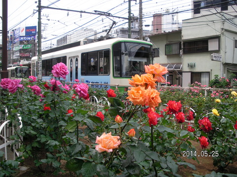 RIMG3885