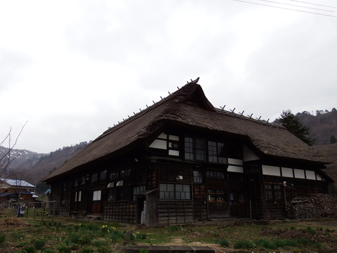 DSCF5056