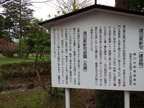 DSCF5246