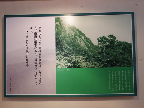 DSCF5039
