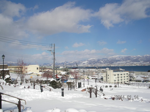 RIMG2862