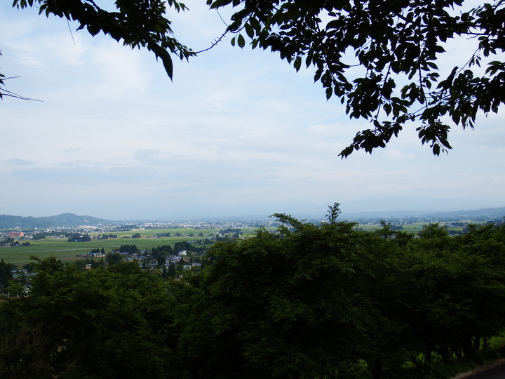 DSCF8667