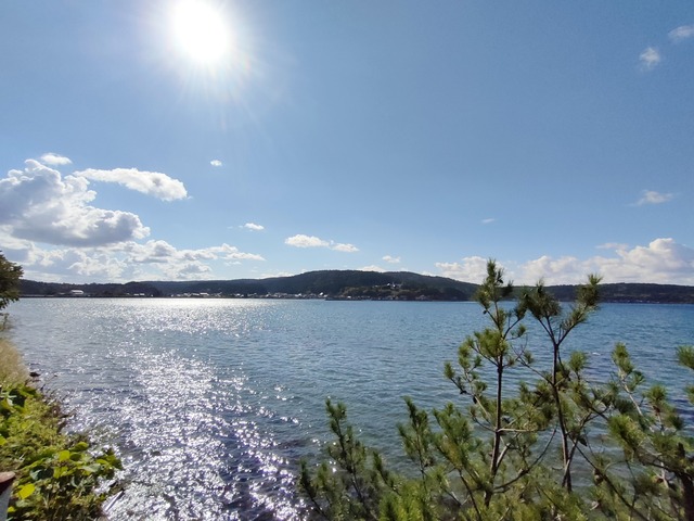 IMG20241011133717