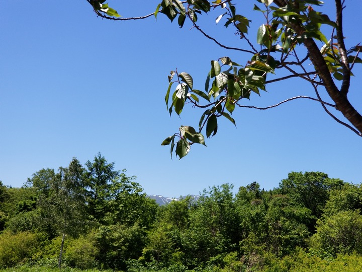 20190530_122439