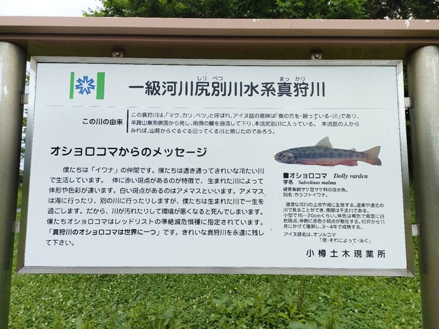 IMG20250716063329
