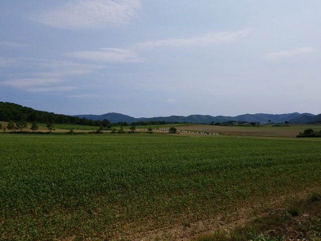 IMG_20210719_092738