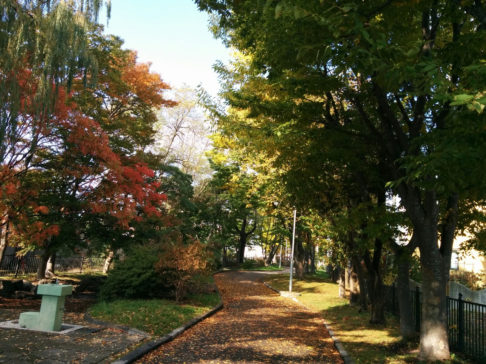 [画像:f8213200-s.jpg]