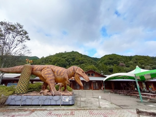 IMG20241009094748