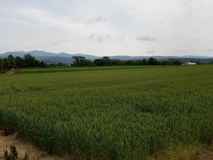 20190627_090324