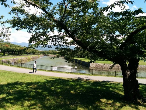 [画像:f9620819-s.jpg]