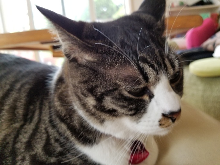 20190726_084448