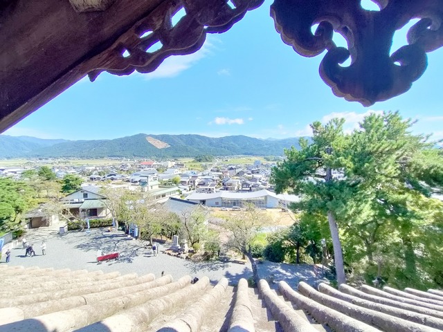 IMG20241010112401