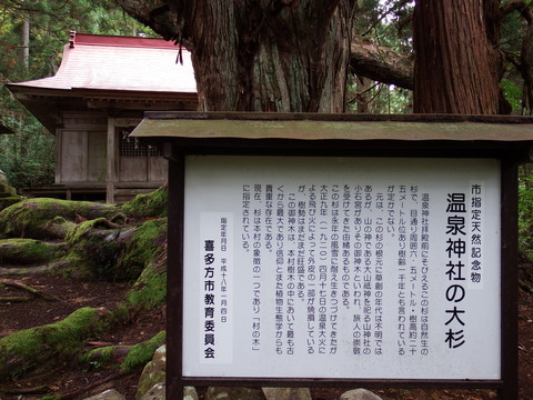 DSCF6607